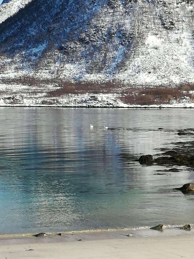 Midnattsolveien 3158,Sommarhusstrand Laukvik Eksteriør bilde